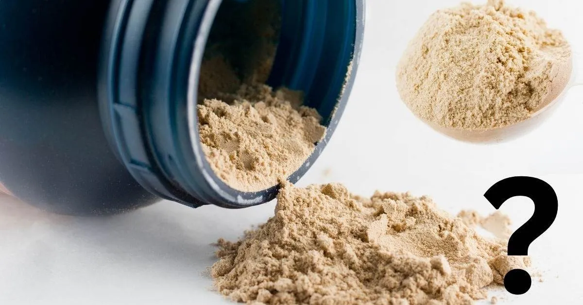 What Is The Difference Between Protein Powder And Pre Workout? Home Nutrition And Fitness